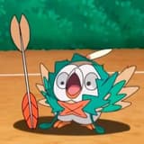 鳳梨太郎