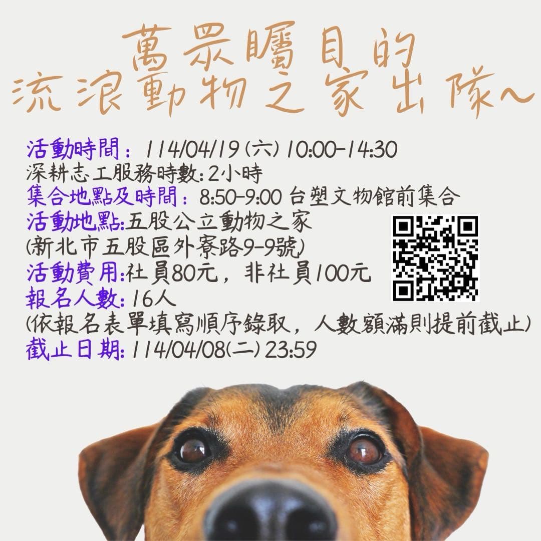 動物流浪之家志工 - 長庚科大板 | Dcard