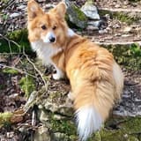 longtail_loaf