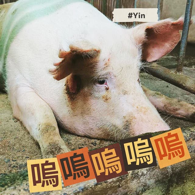投了11次的新貼圖🐽 - 春豆子 (@shadow1118) | Dcard
