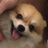 jacklao09