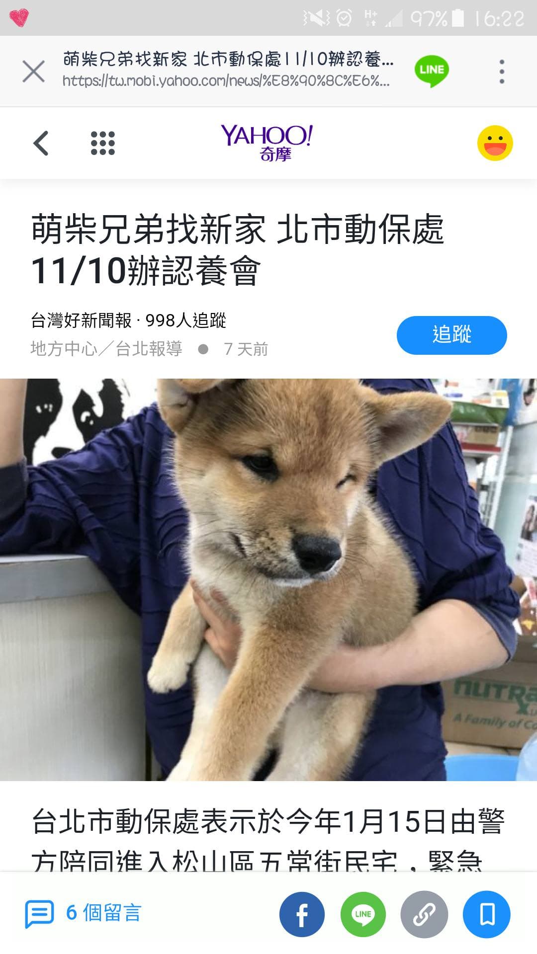 問有關柴犬合法犬舍- 寵物板| Dcard