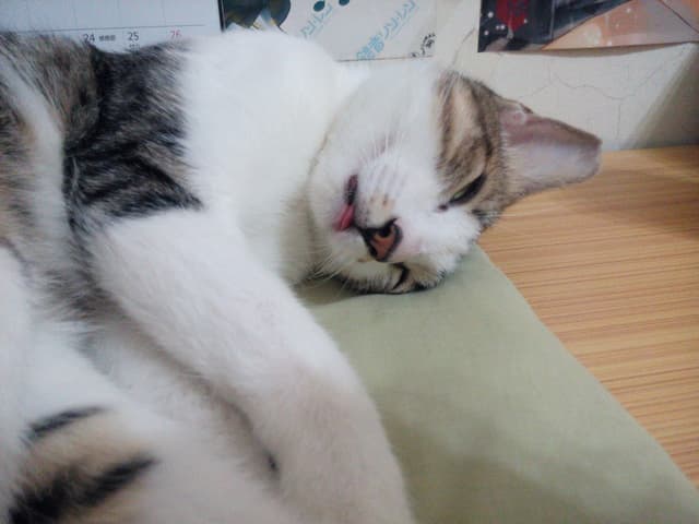 megapx