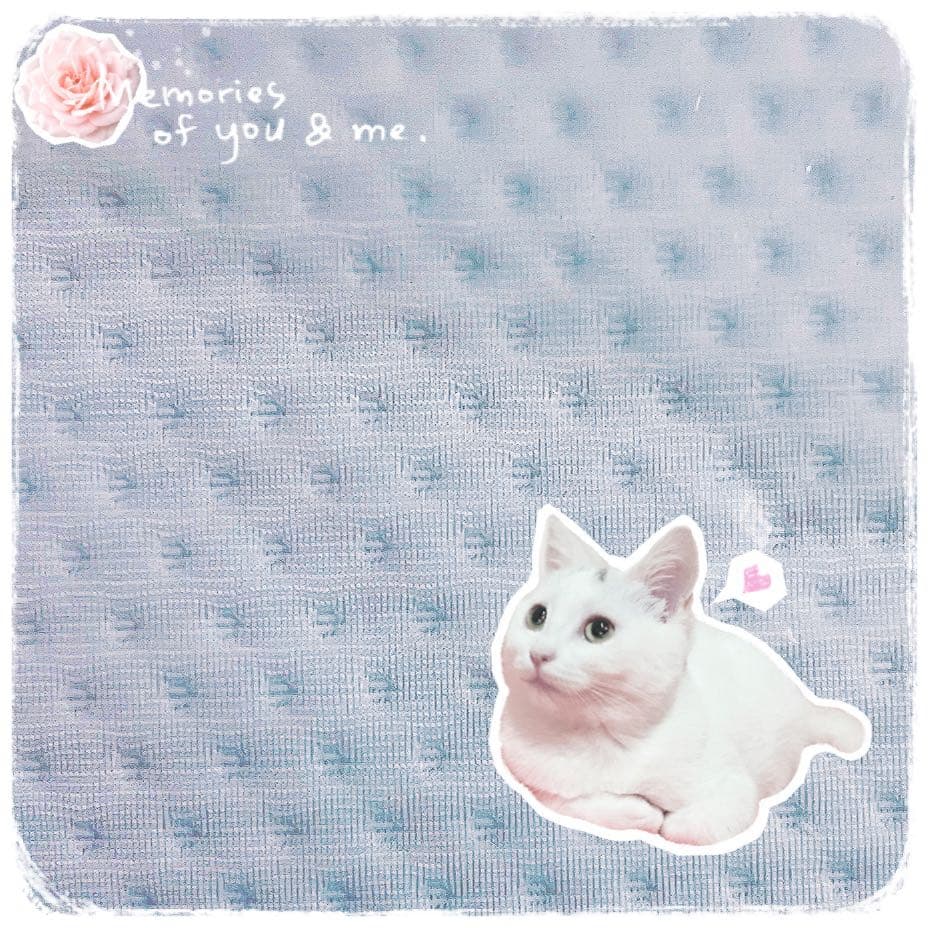 megapx