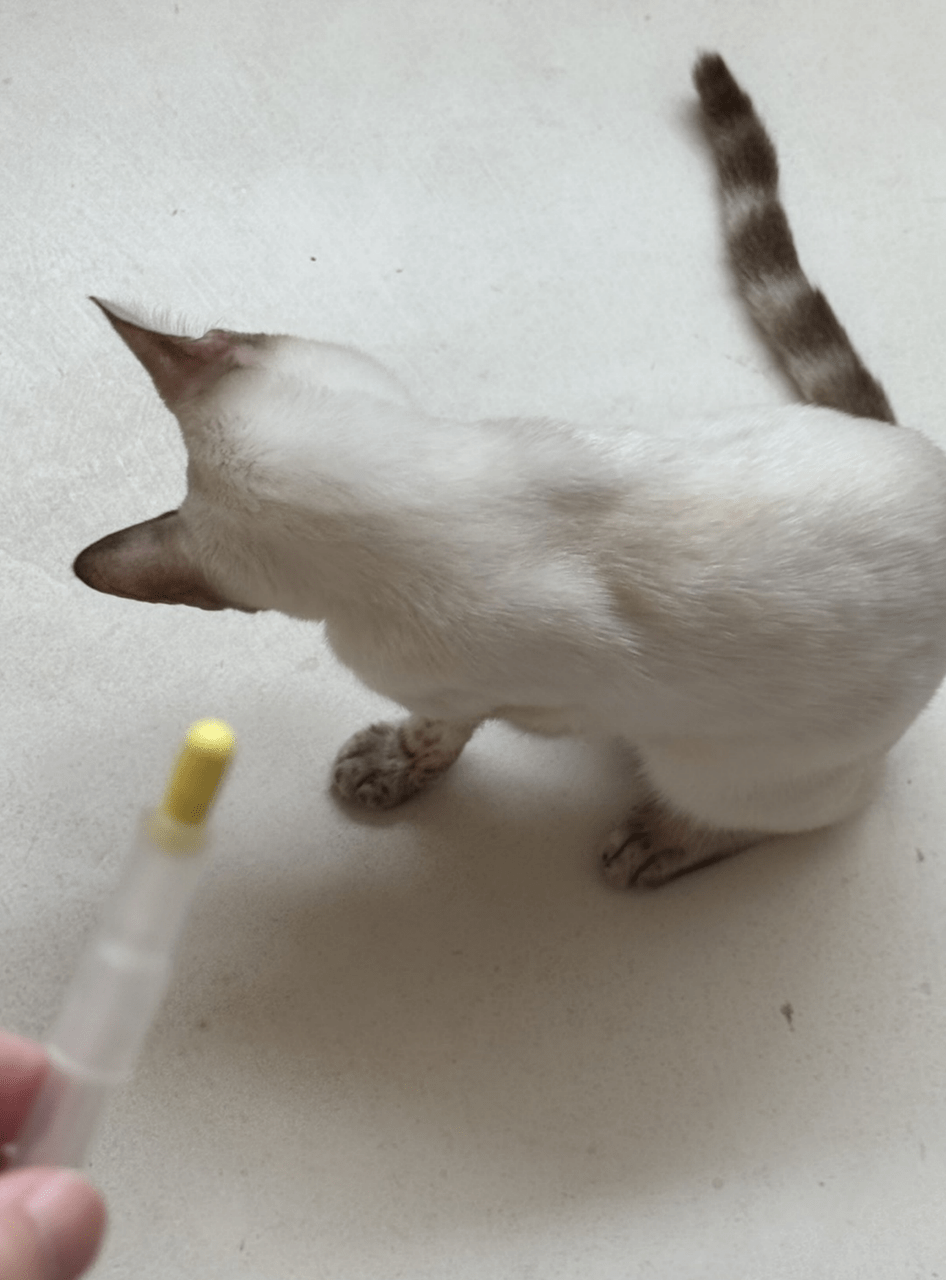megapx