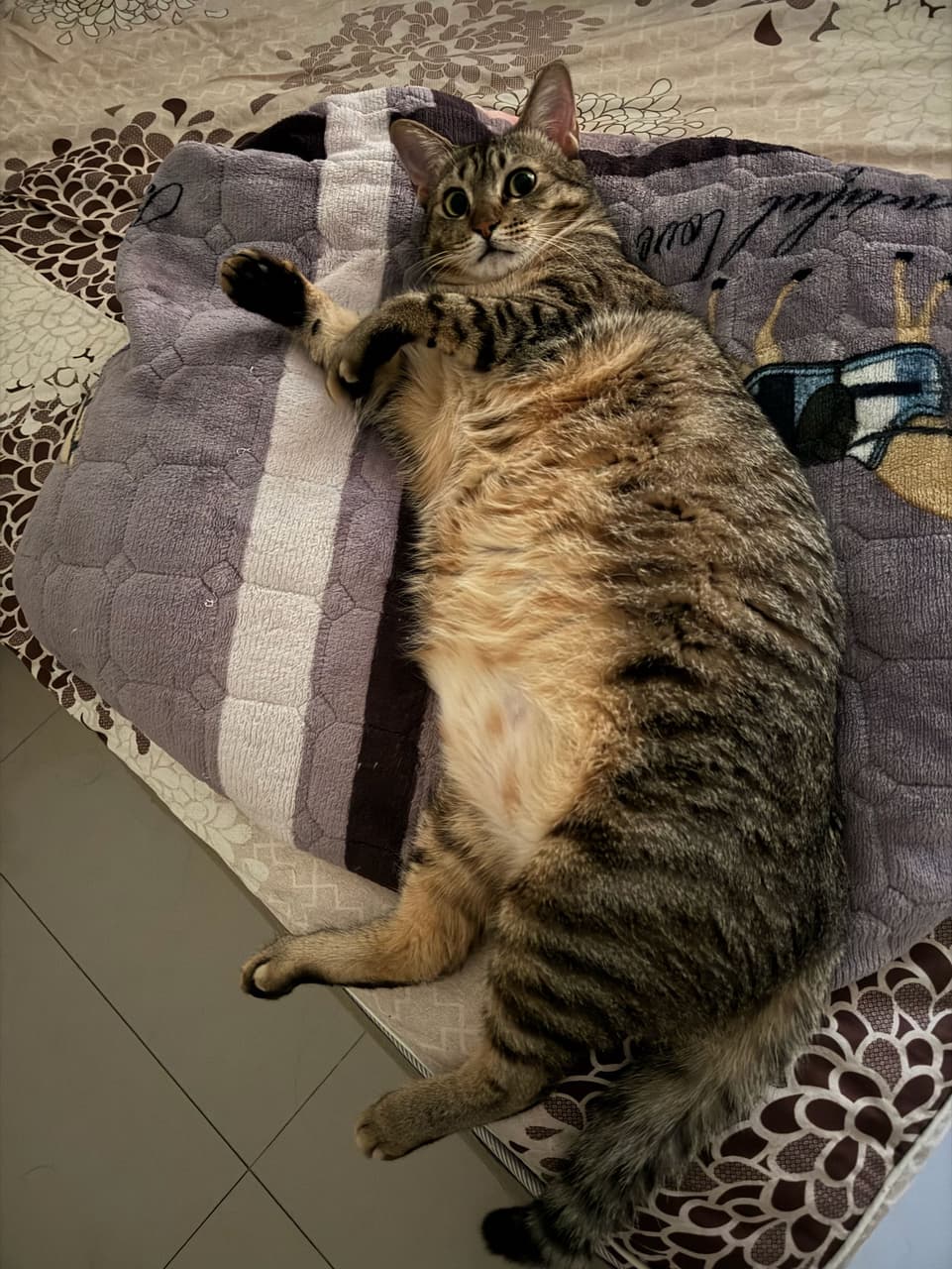 megapx