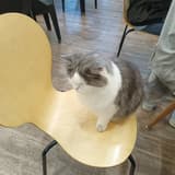 @@