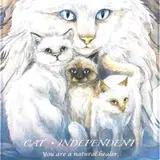 cat_tarot