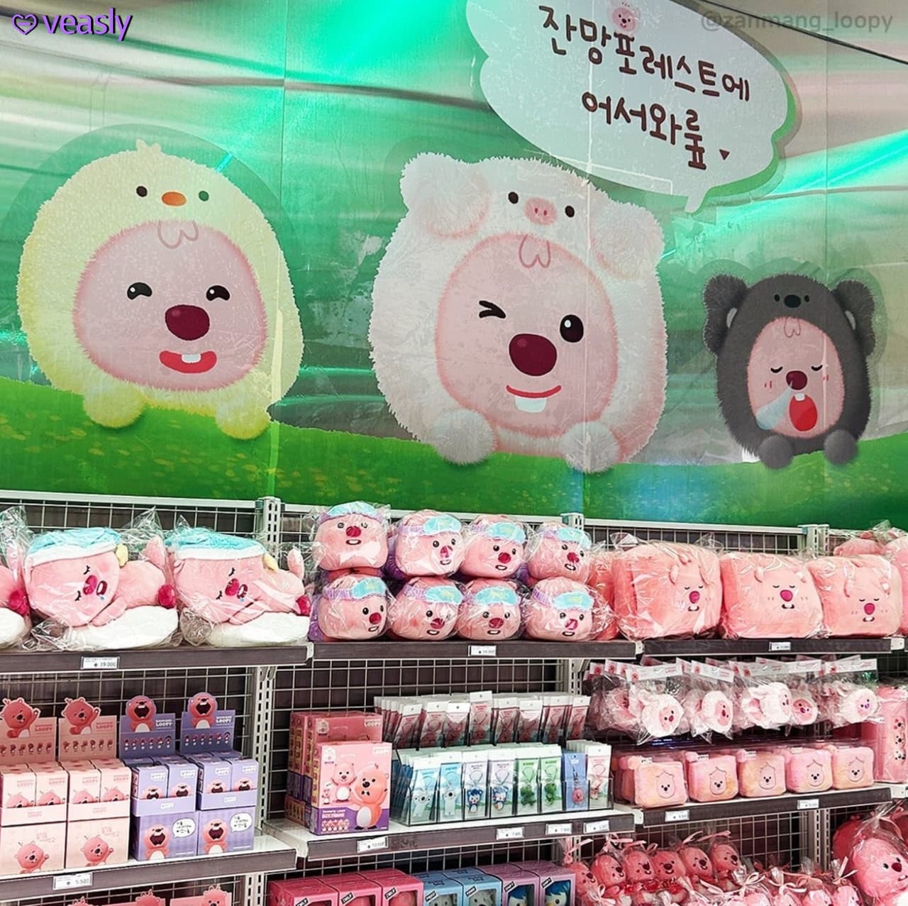 Loopy可愛動物快閃店開始啦~😍 - veasly韓國代購平台 (@leihaibinduo) | Dcard