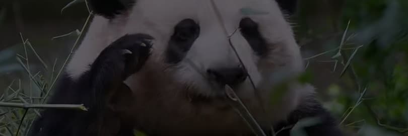 開開心心