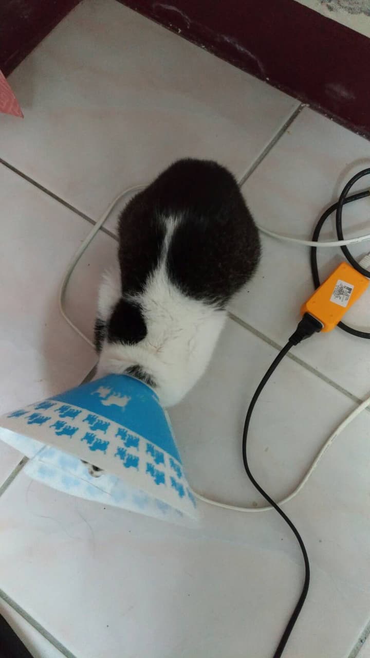 megapx