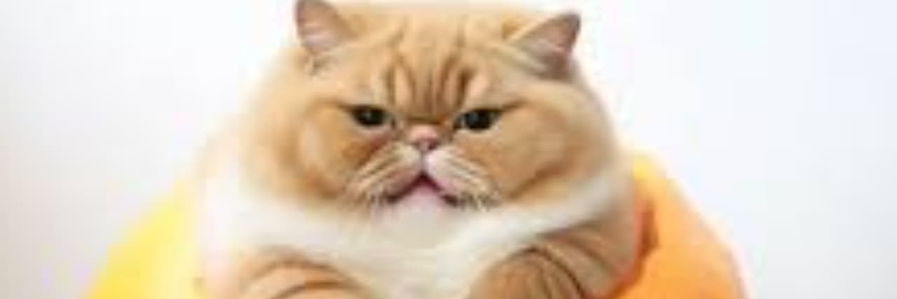 H.