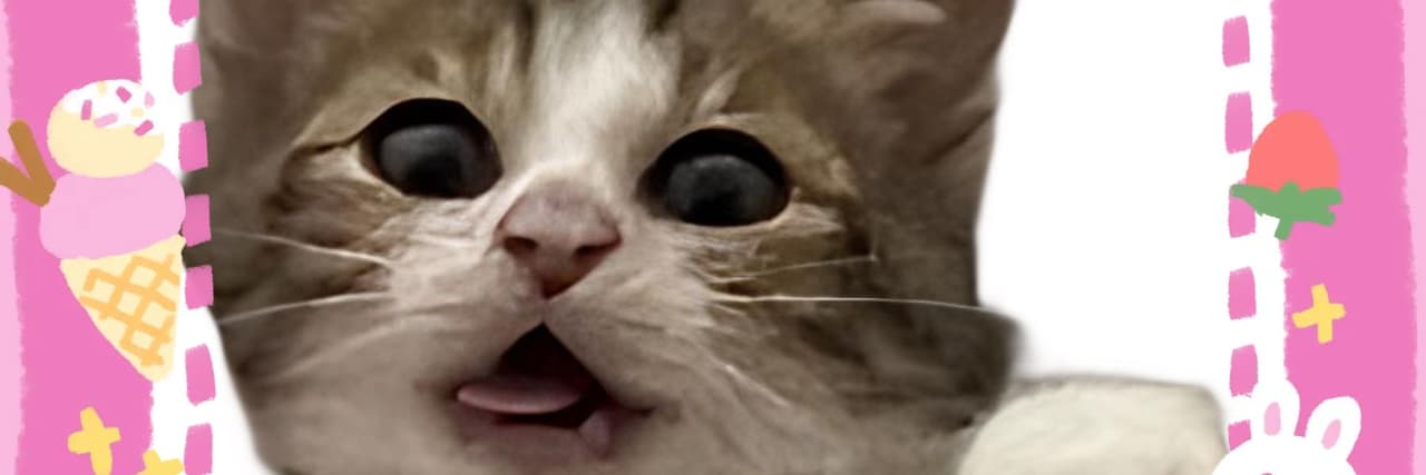 ˆ ̳◝ ·̫ ◜ ̳ˆ