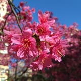 ytt_0903