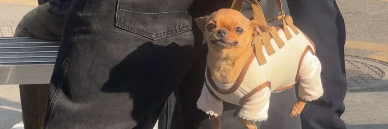 火容