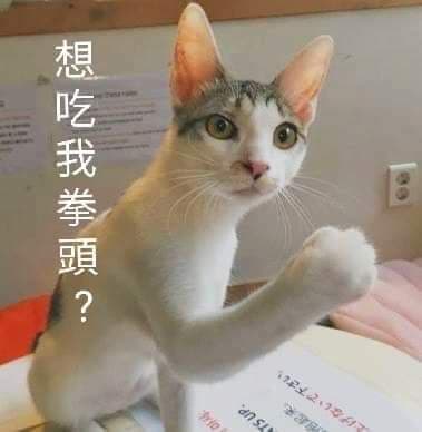 搞笑日常😂如果我插你呢...? - 碎碎唸小姐🌸🐶 (@mistress_suisui) | Dcard