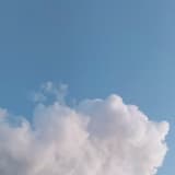 廿一田八 立日心 王人疋