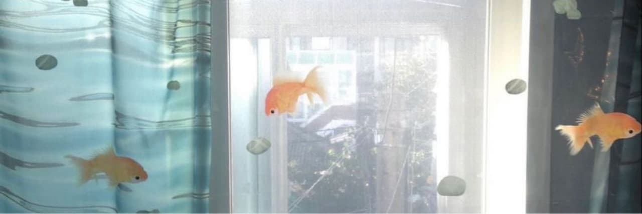 🐹