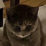 ◉‿◉