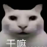 普通人