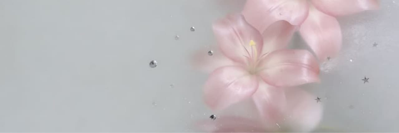 仙女碳水王