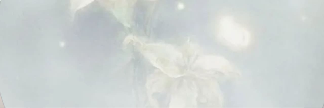 紫丁香的紫