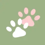ペット
