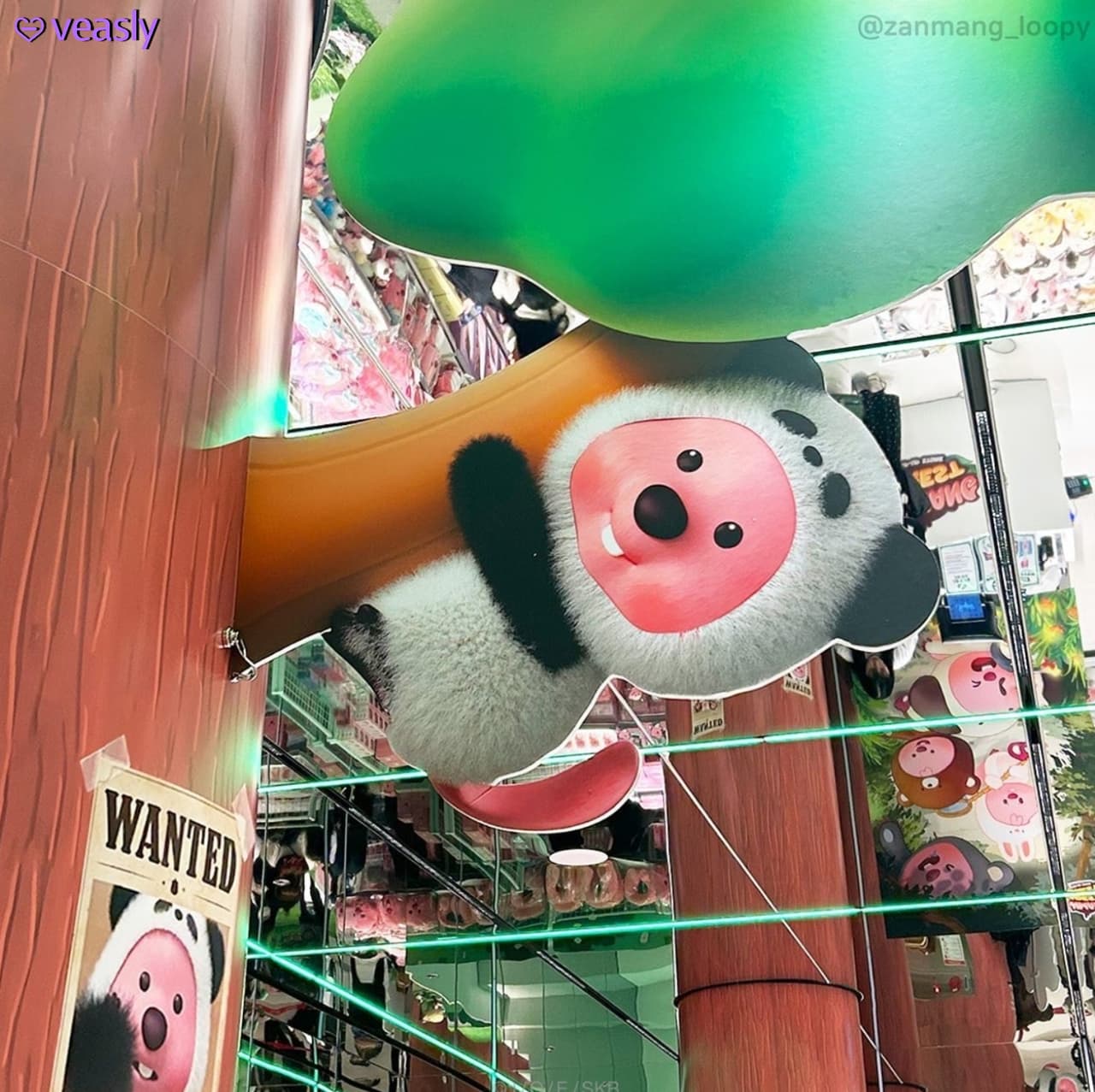 Loopy可愛動物快閃店開始啦~😍 - veasly韓國代購平台 (@leihaibinduo) | Dcard