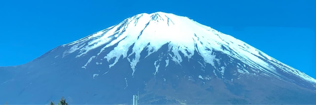 言言