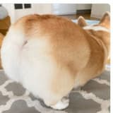 lililililililil