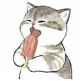 下雨的貓