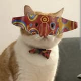 yentsuopa