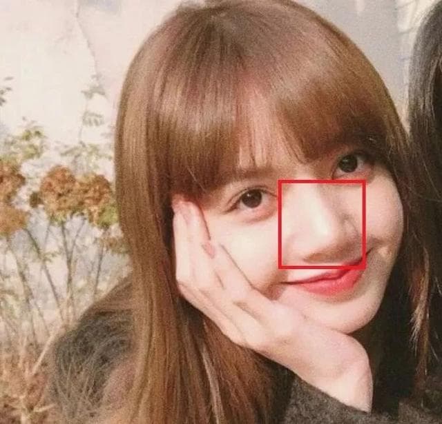 Lisa出道前的長相和現在的對比？ - 追星板 | Dcard