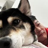 jacky.chen.75