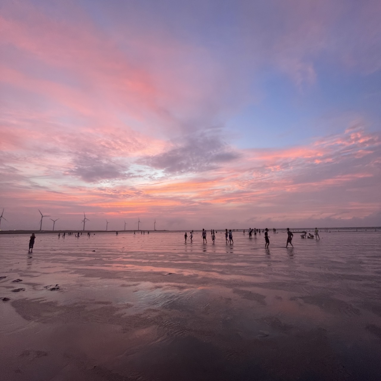 國內遊記 高美濕地半日遊～