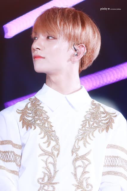 【同梱可】美品 韓流 SEVENTEEN DIAMOND EDGE HOSHI 他 トレカ 5枚 グッズセット 同梱可中古品 韓流 SEVENTEEN 2017 1ST WORLD TOUR DIAMOND EDGE Blu-ray