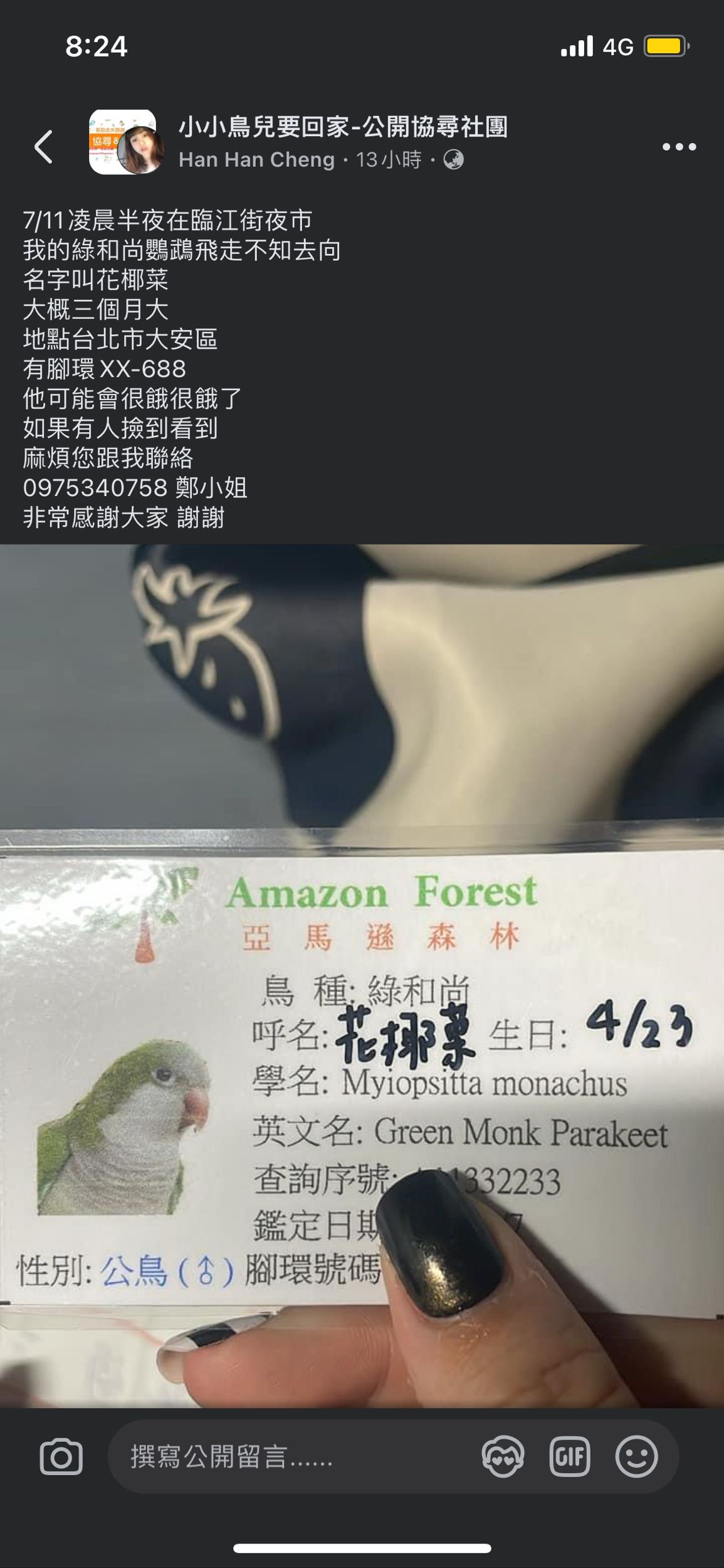 走失綠和尚鸚鵡‼️ - 寵物板| Dcard