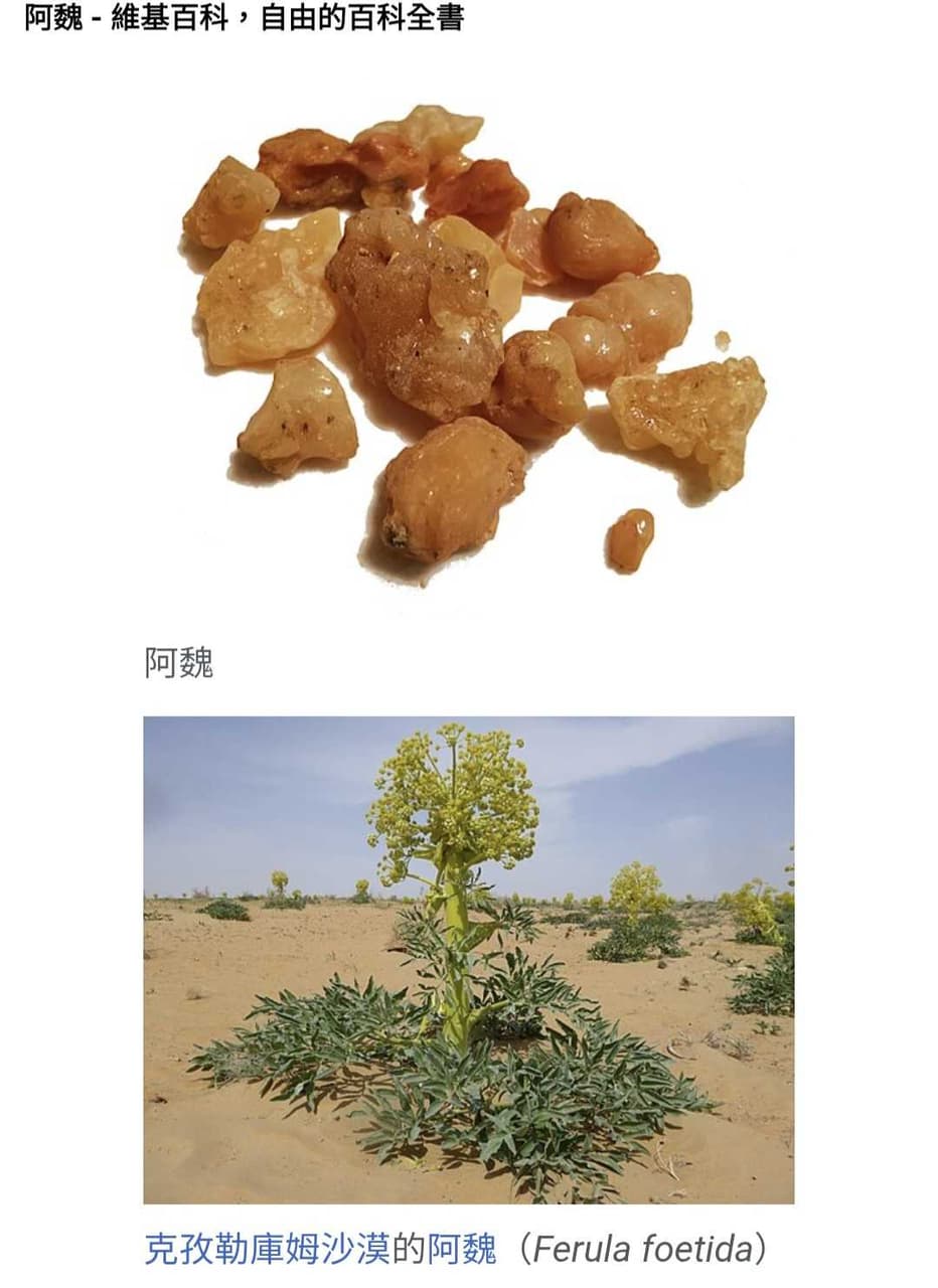 增廣見聞錄(2)----興渠 - 第三天 (@g_p_a) | Dcard