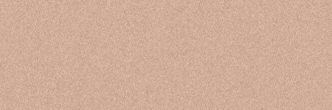 ₍ᐢ.ˬ.ᐢ₎