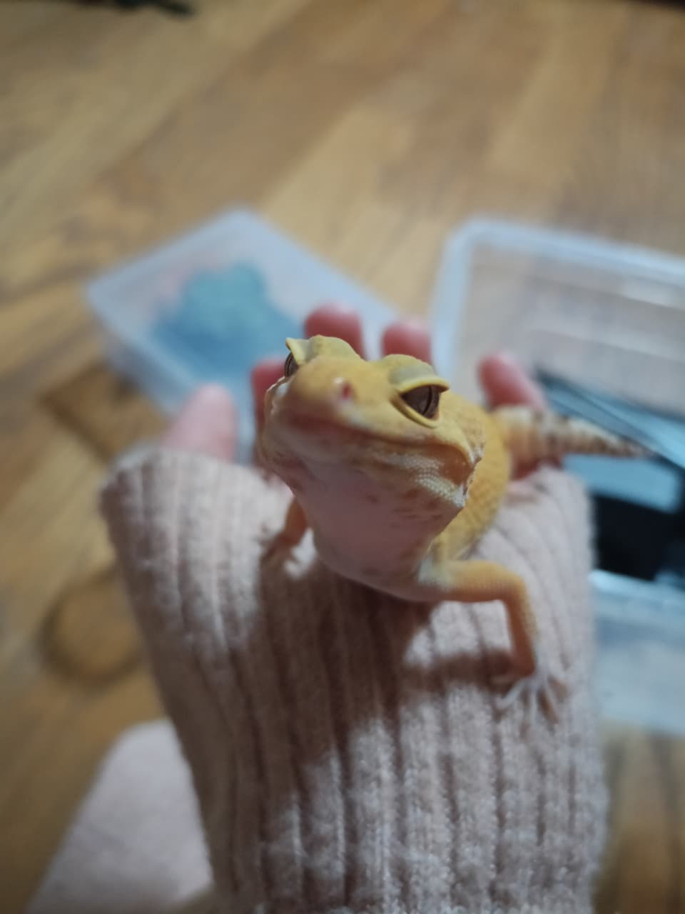 megapx