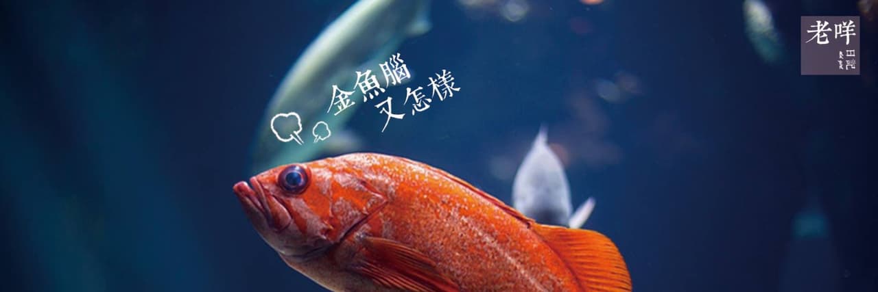 老咩日記old girl