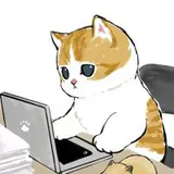 rich_cat