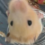 1234
