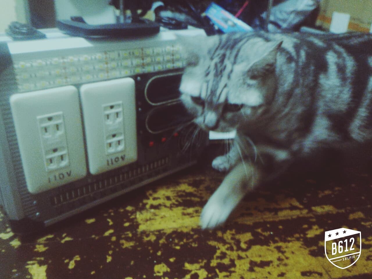 megapx