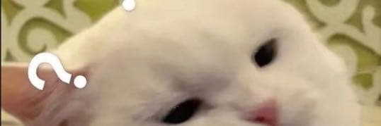 ༺ཊMAX€ཏ༻