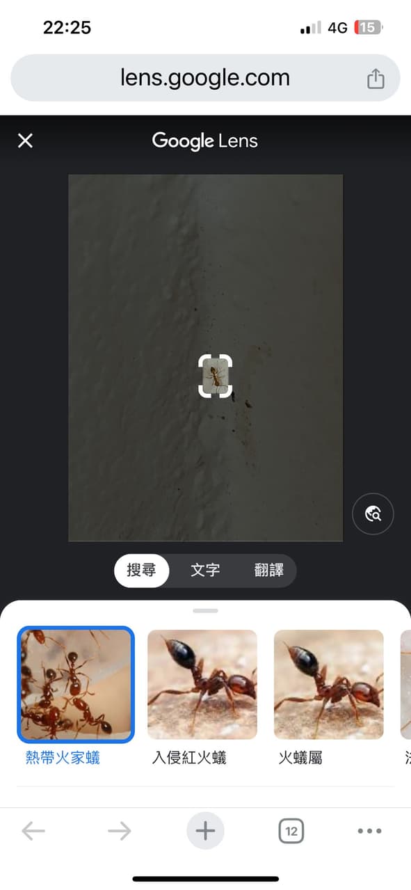 #鑑定 請問螞蟻種類與除蟻相關建議 - 昆蟲板 | Dcard