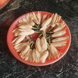 taiwan_555