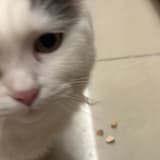 我超可愛