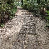 微風