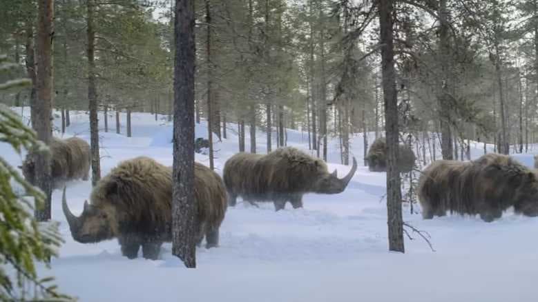 megapx